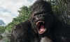 Top filme cu Maimute sau Gorile