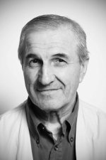 Gheorghe Dinică