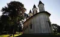 Top obiective turistice în Dolhasca