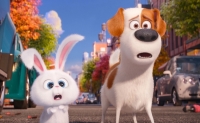 Top filme cu animale vorbitoare