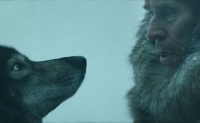 Top filme cu câini eroi