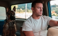 Top filme despre călătorii cu mașina
