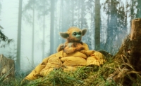 Top filme în pădure