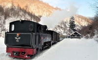 Top trenuri turistice și mocănițe din România