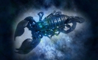 Top zodii care se potrivesc cu Scorpion