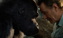 Top filme despre prietenia dintre oameni și animale