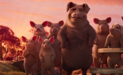 Top filme satirice