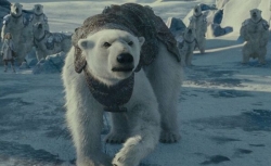 Top filme si seriale cu ursi polari