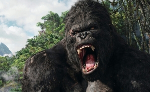 Top filme cu Maimute sau Gorile