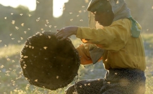 Top filme documentare