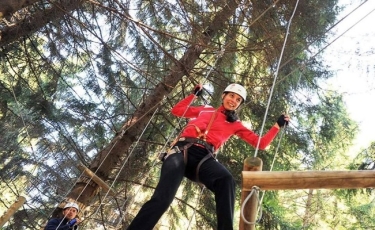 Arka Park Păltiniș