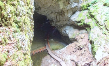 Ghețarul de la Scărișoara