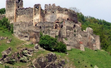 Cetatea Șoimoș