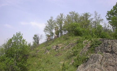 Cetatea Dezna