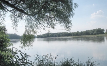 Parcul Natural Lunca Mureșului