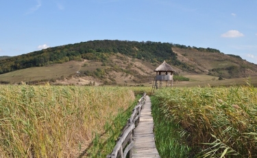 Stufărișurile de la Sic