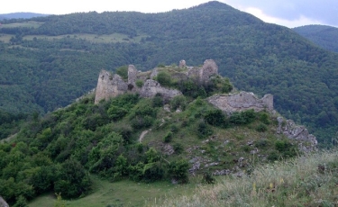 Cetatea Liteni