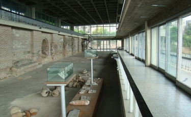 Edificiul Roman cu Mozaic