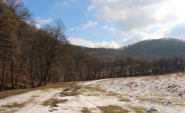 Cheile Vârghișului