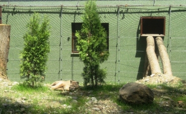 Grădina Zoologică din Târgu Mureș