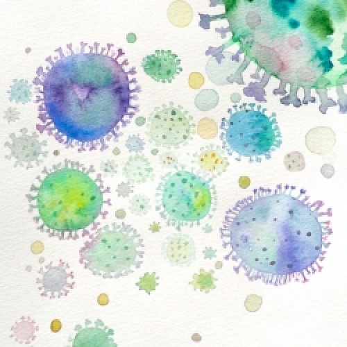 Bacteriofobie