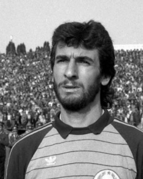Silviu Lung