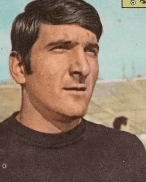 Rică Răducanu