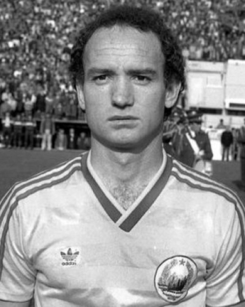 Nicolae Ungureanu