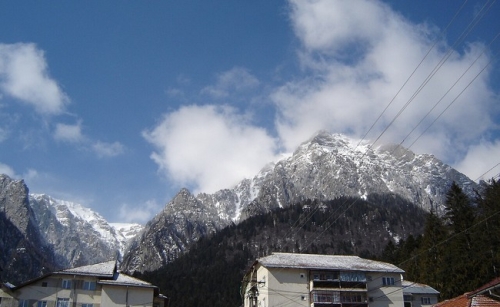 Bușteni