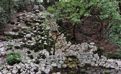 Grădina Botanică din București