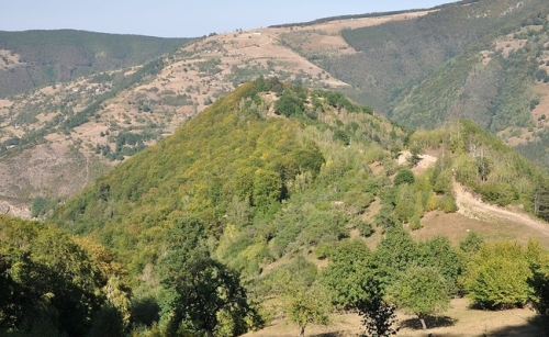 Cetatea dacică de la Căpâlna