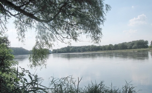 Parcul Natural Lunca Mureșului
