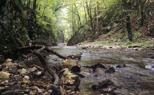 Cheile Carașului