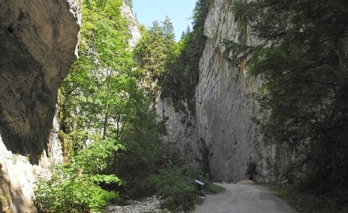 Prăpăstiile Zărneștilor