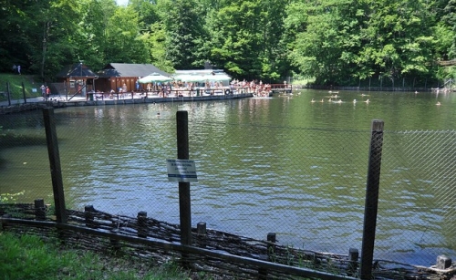 Lacul Aluniș din Sovata