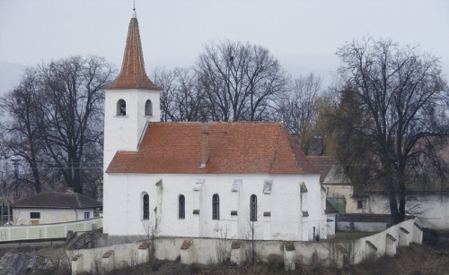 Biserica Sfânta Treime din Jigodin