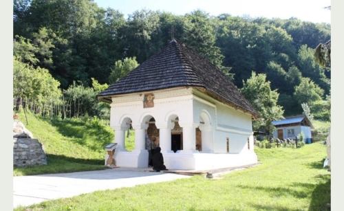 Mănăstirea Bradu