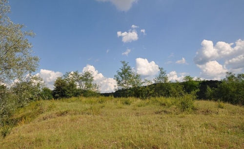 Buridava dacică
