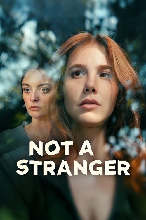 Not a Stranger
