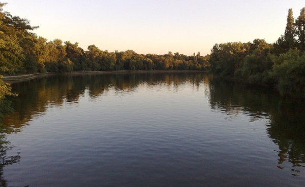 Parcul Regele Mihai I (Herăstrău)