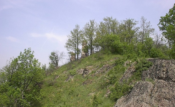 Cetatea Dezna