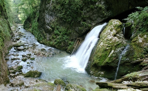 Cheile Galbenei