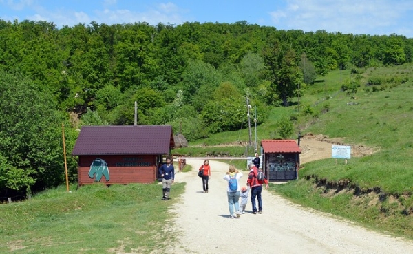 Sanctuarul de urși Libearty