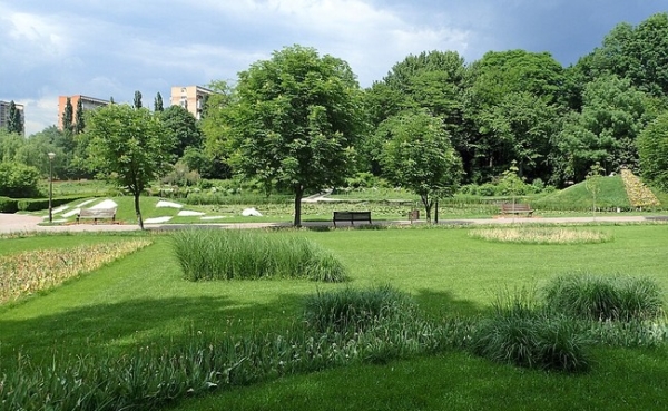 Grădina Botanică Alexandru Buia