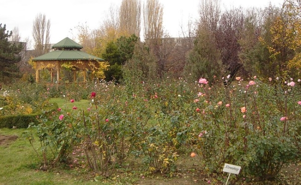 Grădina Botanică din Galați