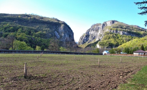 Cheile Oltețului